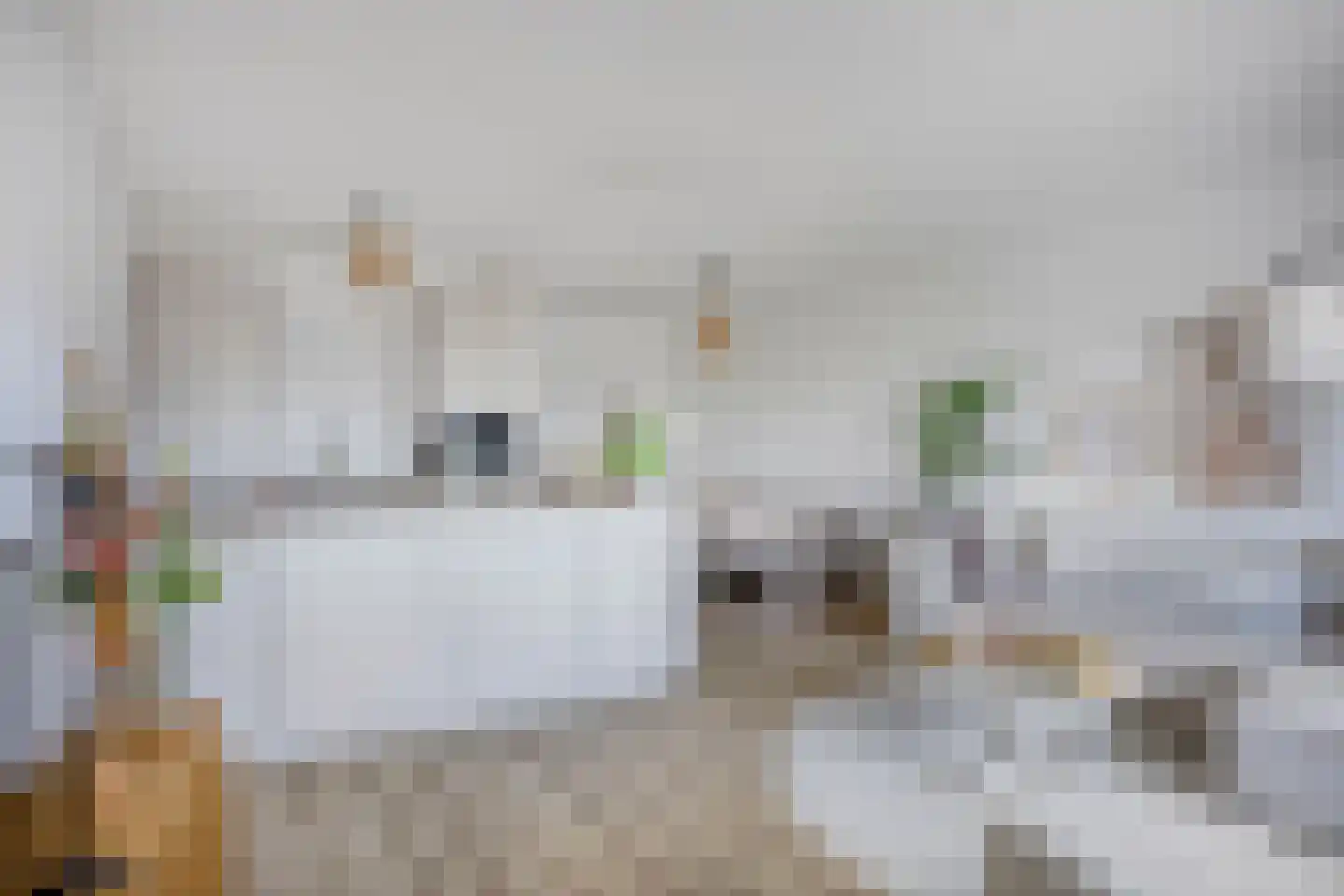 C.F. Smeetslaan 108 Castricum thumbnail 4