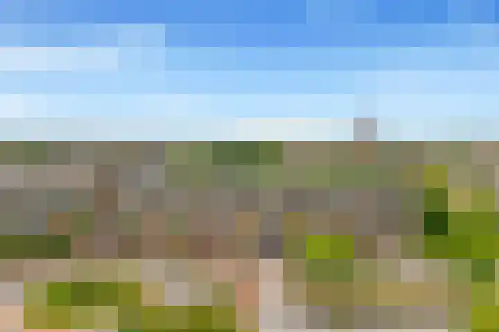 C.F. Smeetslaan 12 Castricum thumbnail 32