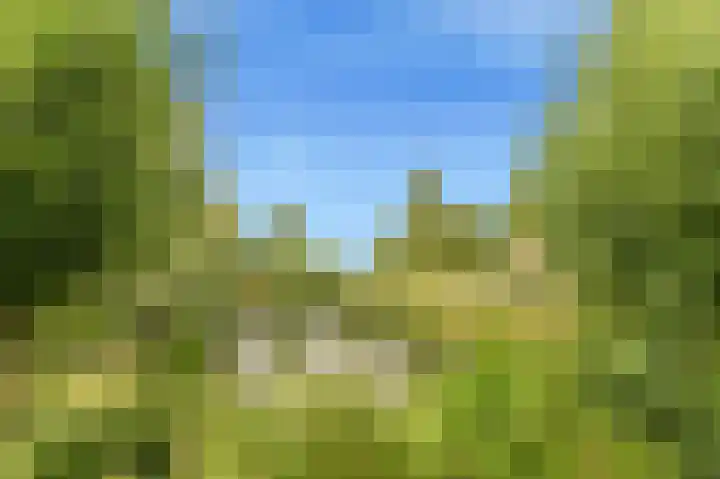 C.F. Smeetslaan 12 Castricum thumbnail 34