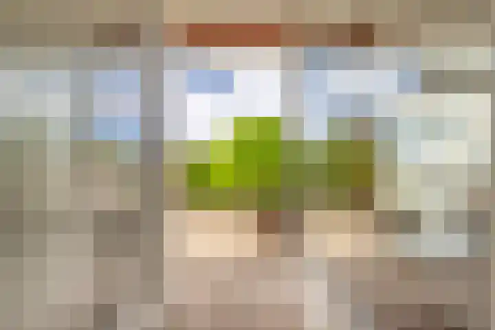 C.F. Smeetslaan 125 Castricum thumbnail 26