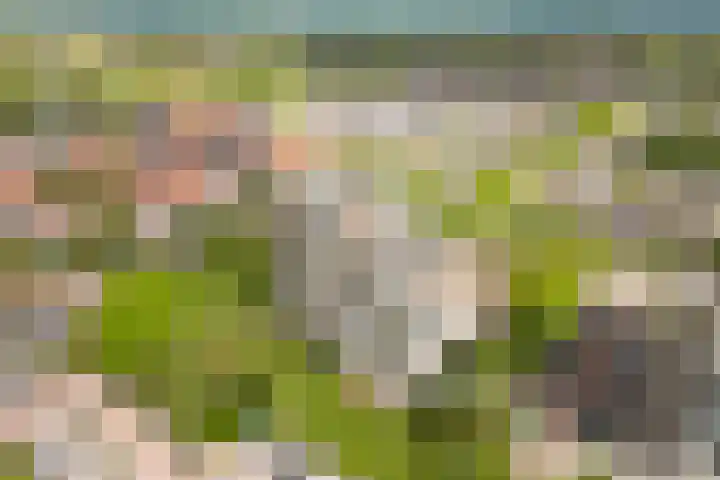 C.F. Smeetslaan 125 Castricum thumbnail 34