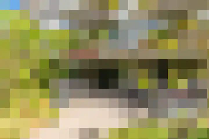 C.F. Smeetslaan 125 Castricum thumbnail 5