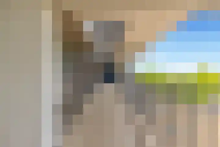 C.F. Smeetslaan 125 Castricum thumbnail 7