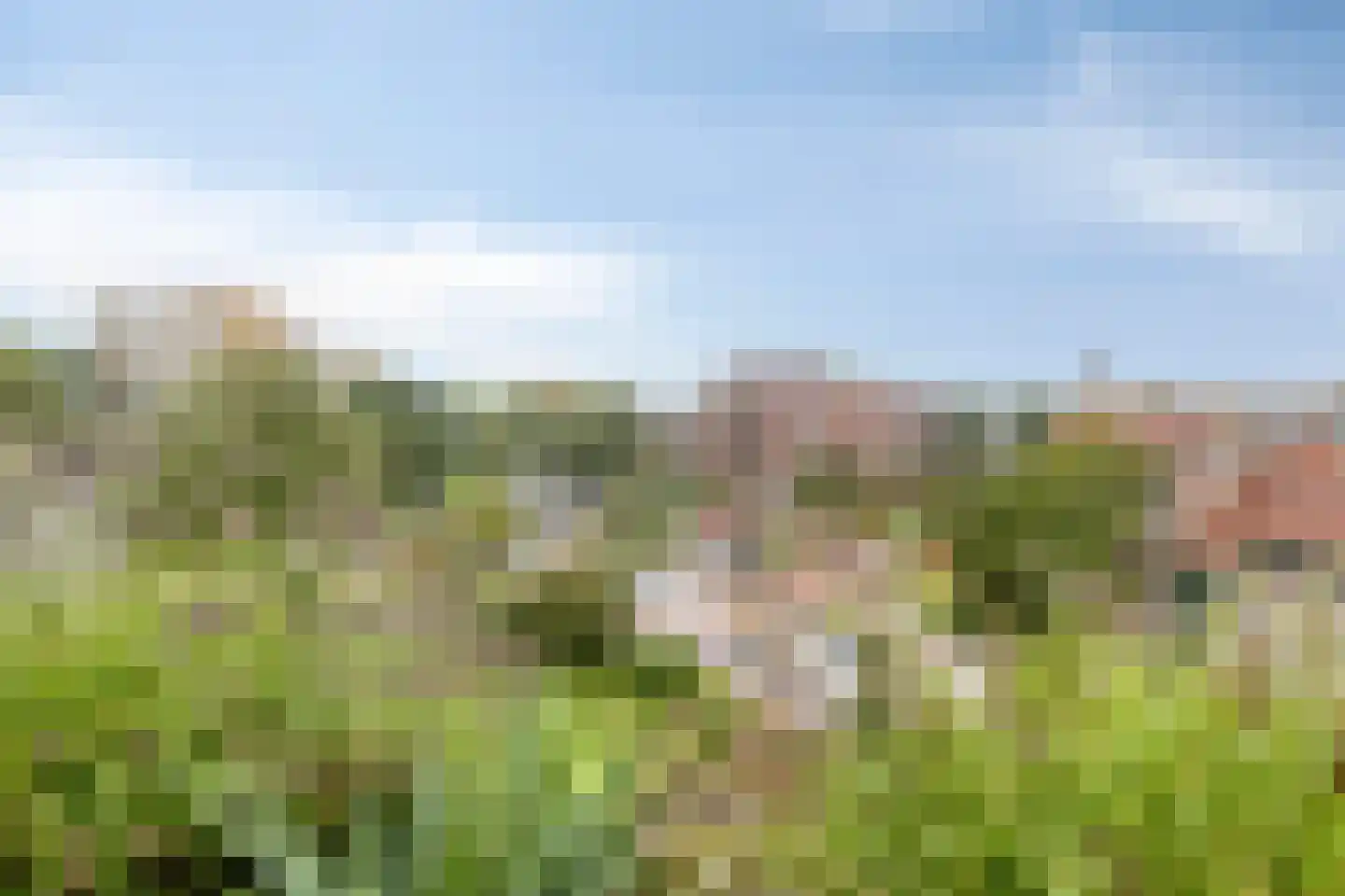 C.F. Smeetslaan 137 Castricum thumbnail 16