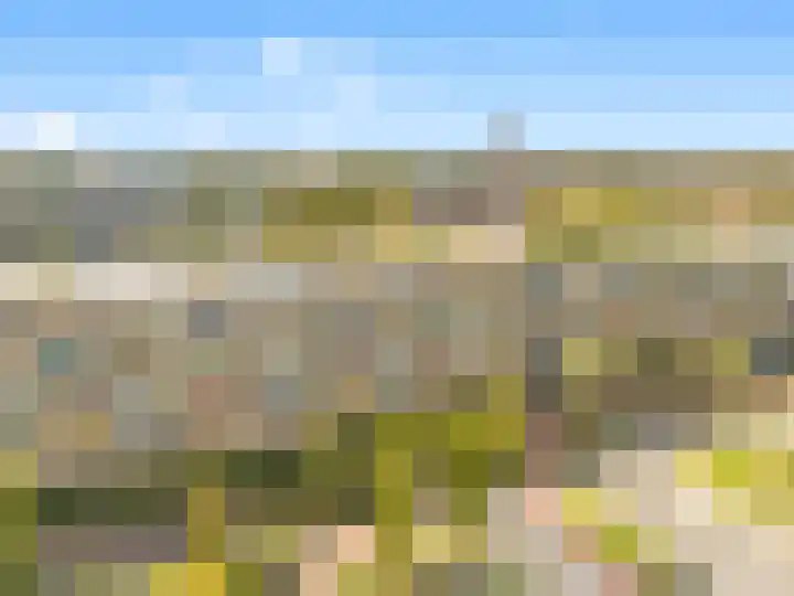 C.F. Smeetslaan 146 Castricum thumbnail 28
