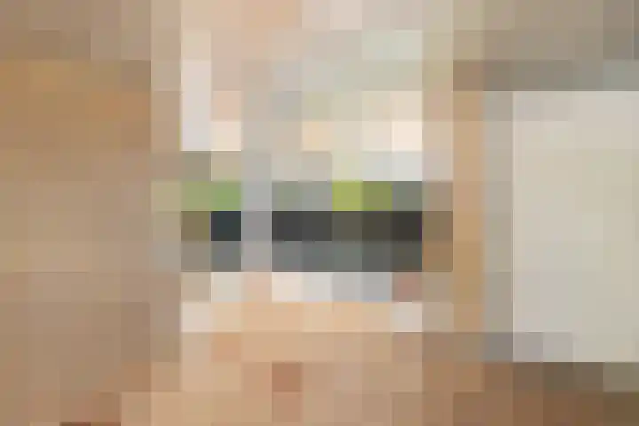 C.F. Smeetslaan 148 Castricum thumbnail 30