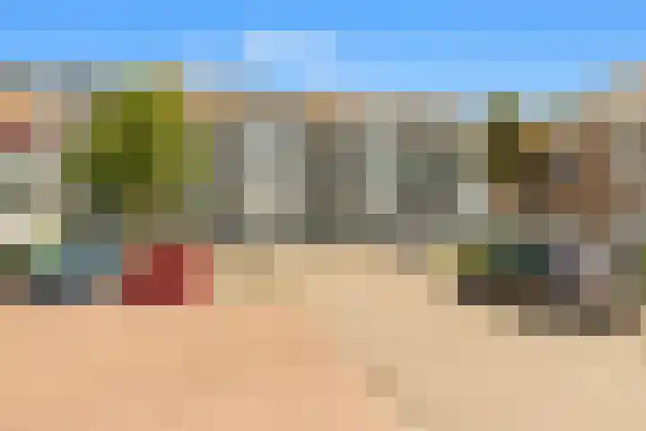 C.F. Smeetslaan 148 Castricum thumbnail 36