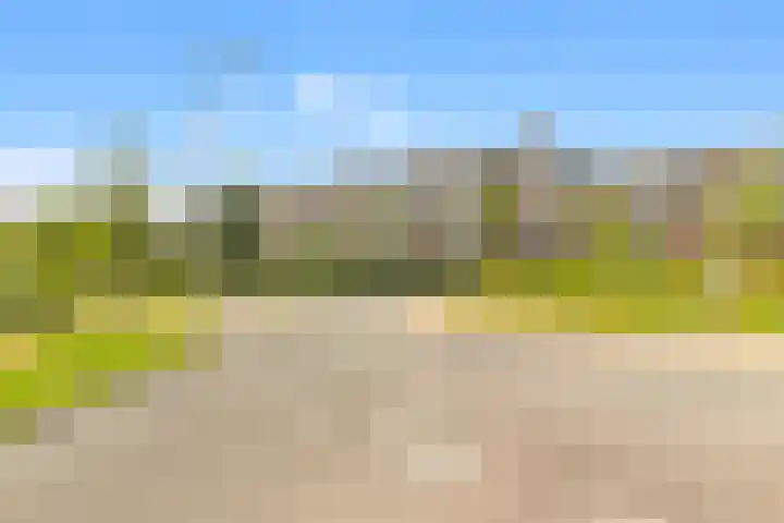 C.F. Smeetslaan 148 Castricum thumbnail 37
