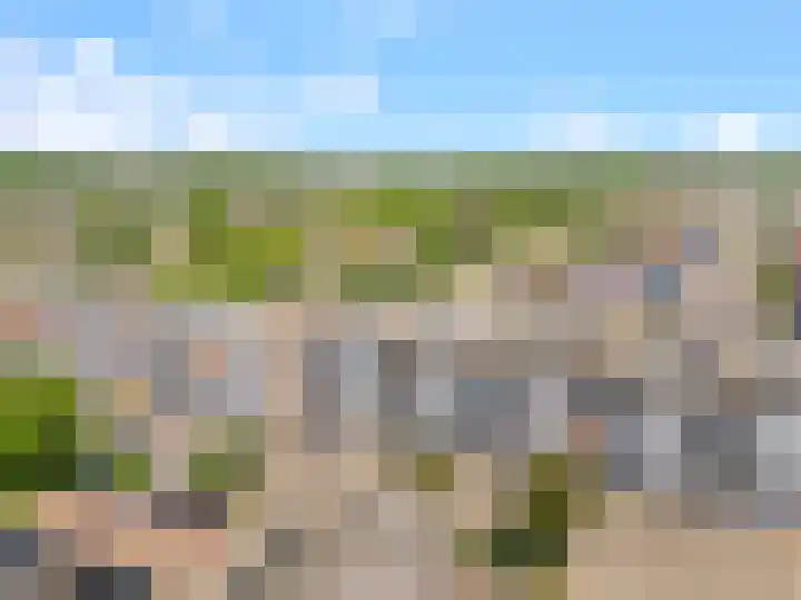 C.F. Smeetslaan 148 Castricum thumbnail 39