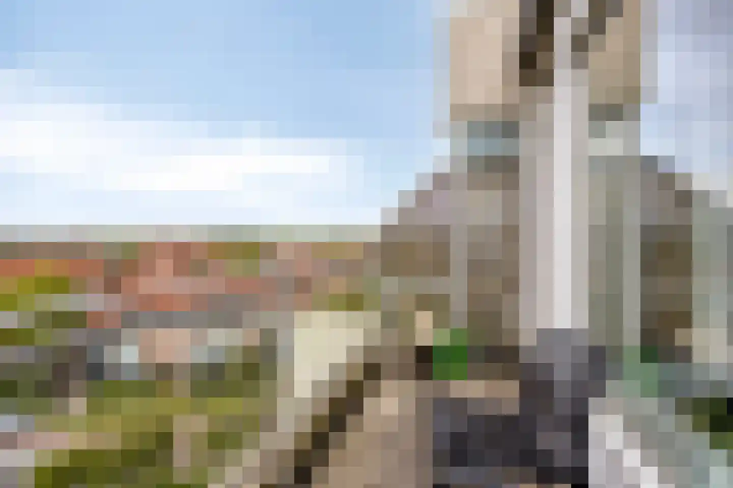 C.F. Smeetslaan 171 Castricum thumbnail 24