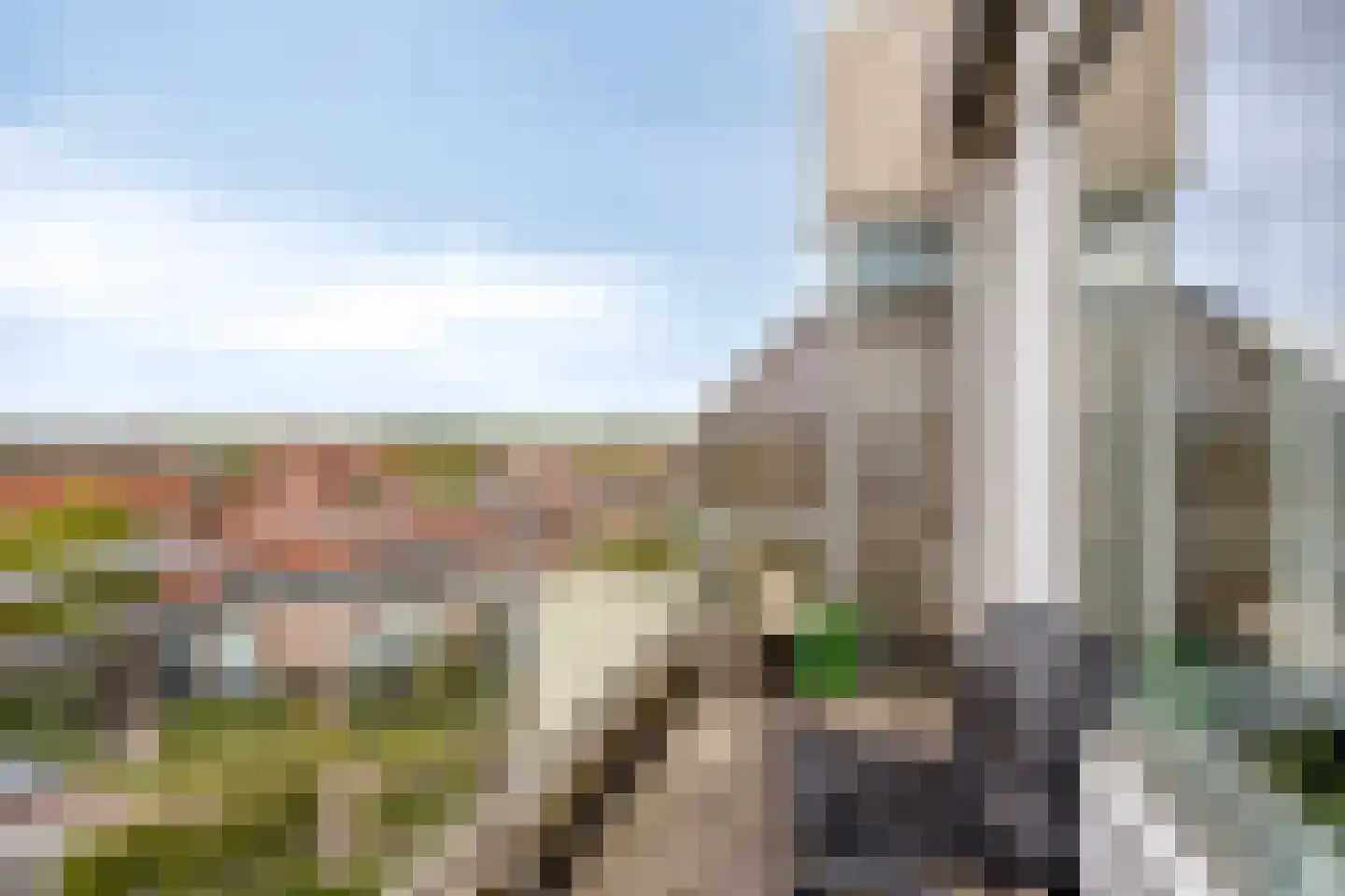 C.F. Smeetslaan 171 Castricum thumbnail 4