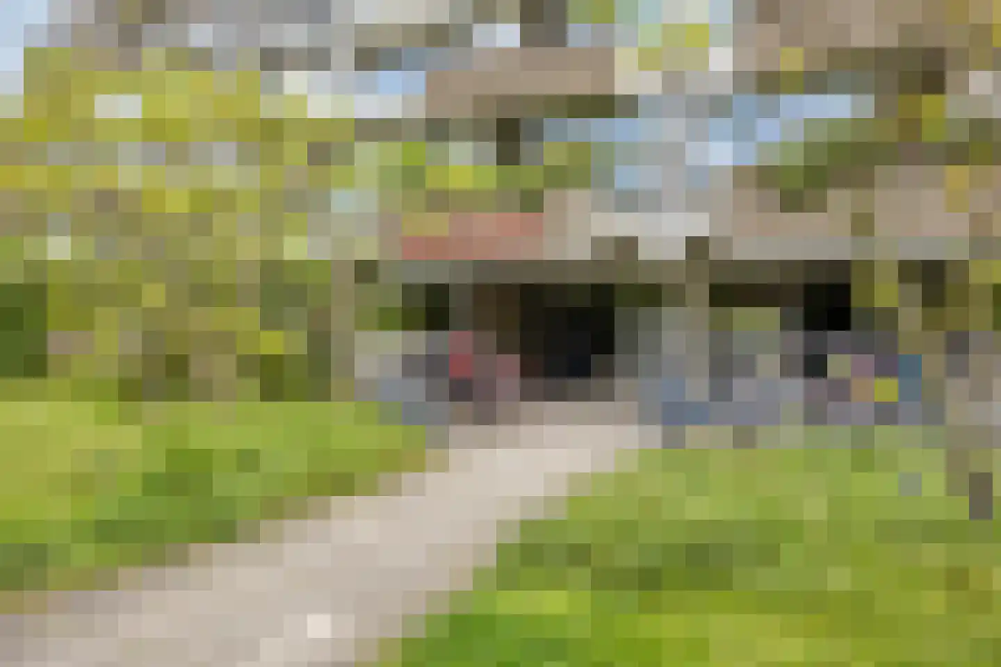 C.F. Smeetslaan 171 Castricum thumbnail 7