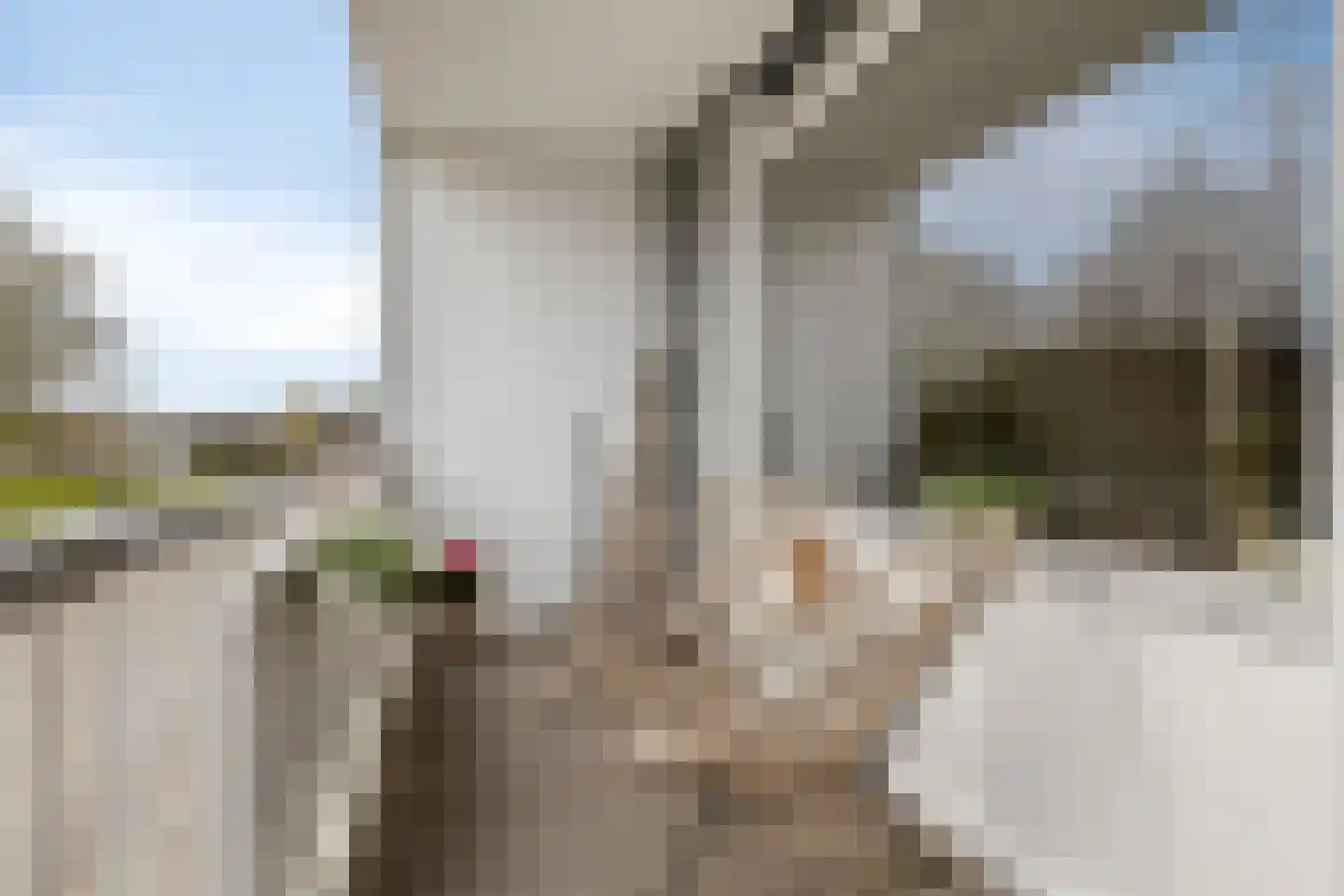 C.F. Smeetslaan 18 Castricum thumbnail 4