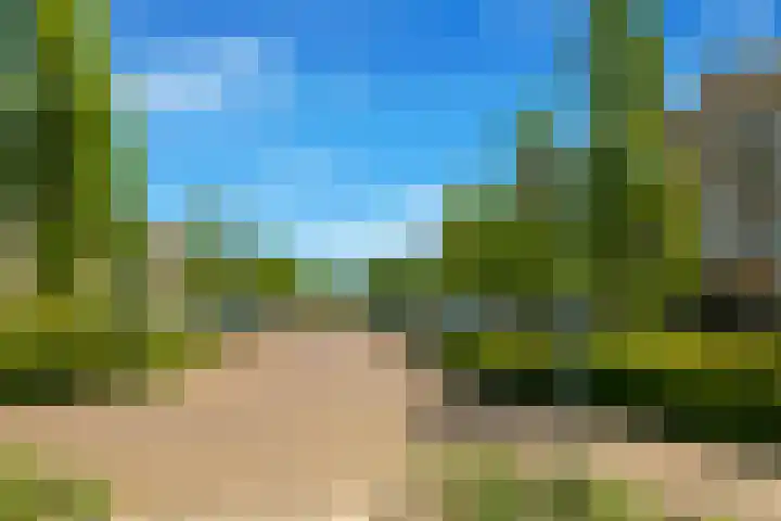 C.F. Smeetslaan 182 Castricum thumbnail 37