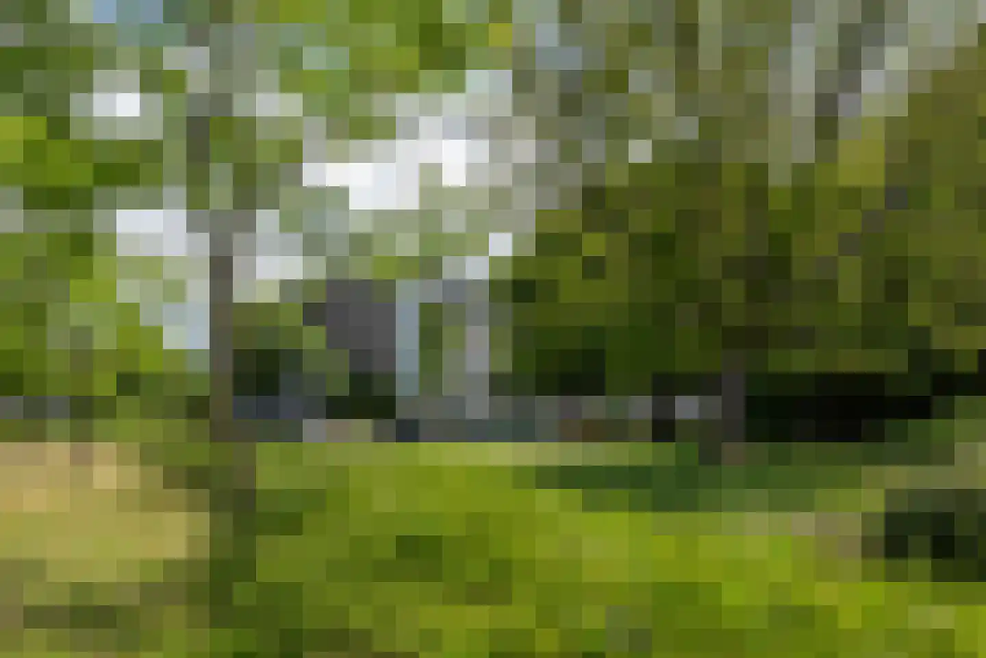 C.F. Smeetslaan 200 Castricum thumbnail 27
