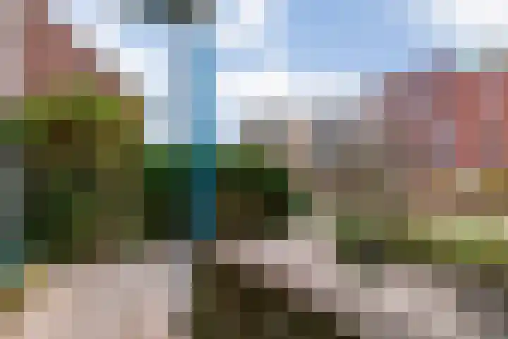 C.F. Smeetslaan 203 Castricum thumbnail 27