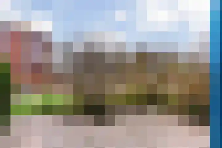 C.F. Smeetslaan 203 Castricum thumbnail 28