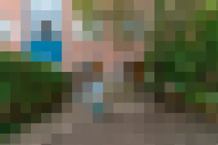 C.F. Smeetslaan 203 Castricum thumbnail 30