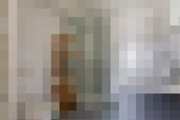 C.F. Smeetslaan 211 Castricum thumbnail 23