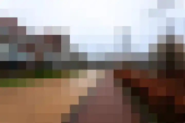 C.F. Smeetslaan 211 Castricum thumbnail 30