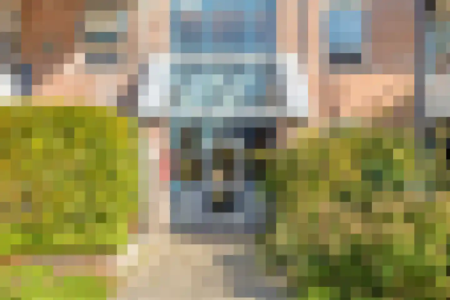 C.F. Smeetslaan 219 Castricum thumbnail 29