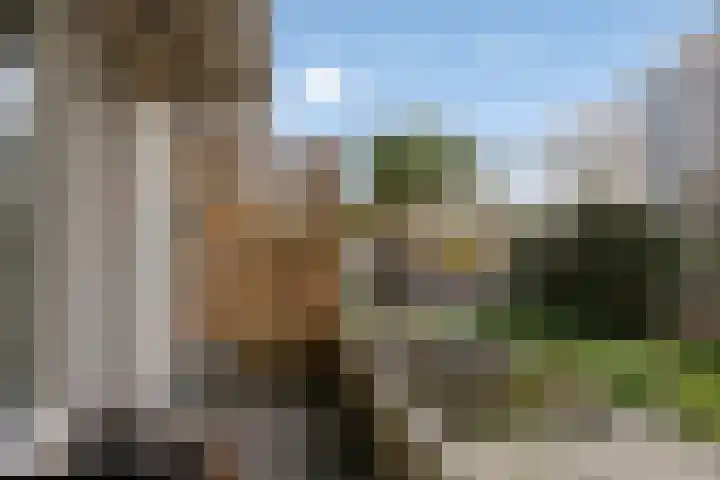 C.F. Smeetslaan 29 Castricum thumbnail 20