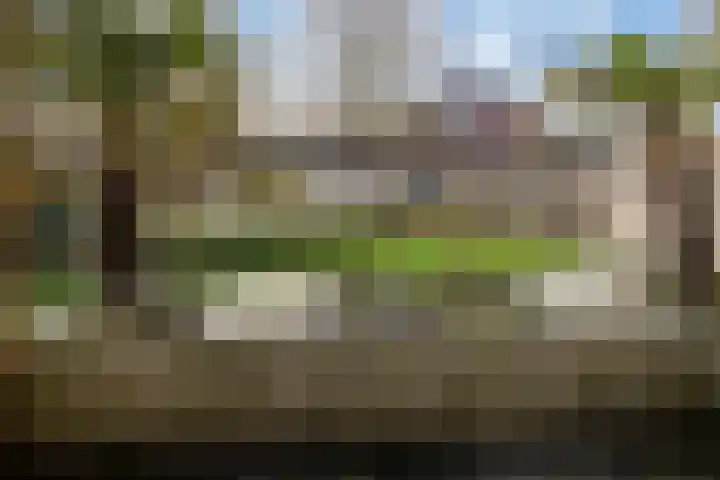 C.F. Smeetslaan 29 Castricum thumbnail 21
