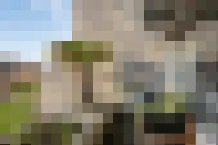 C.F. Smeetslaan 29 Castricum thumbnail 4