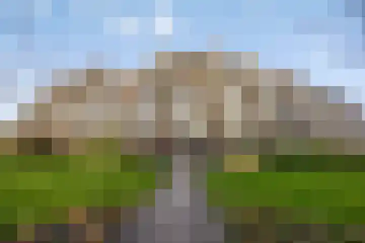 C.F. Smeetslaan 29 Castricum thumbnail 5