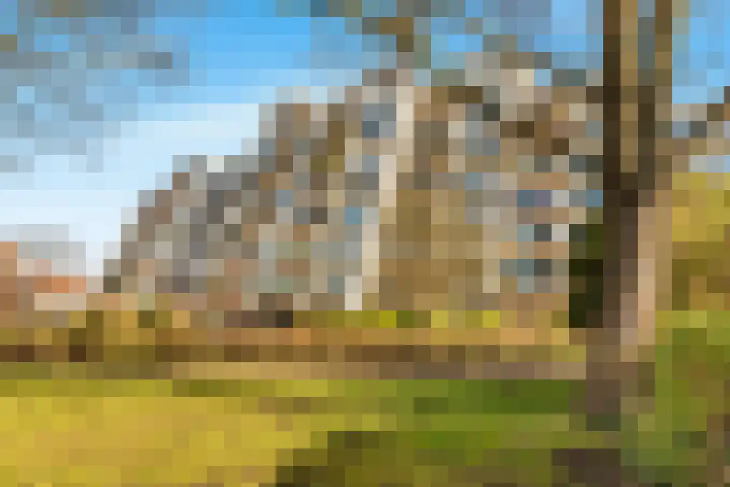 C.F. Smeetslaan 39 Castricum thumbnail 38