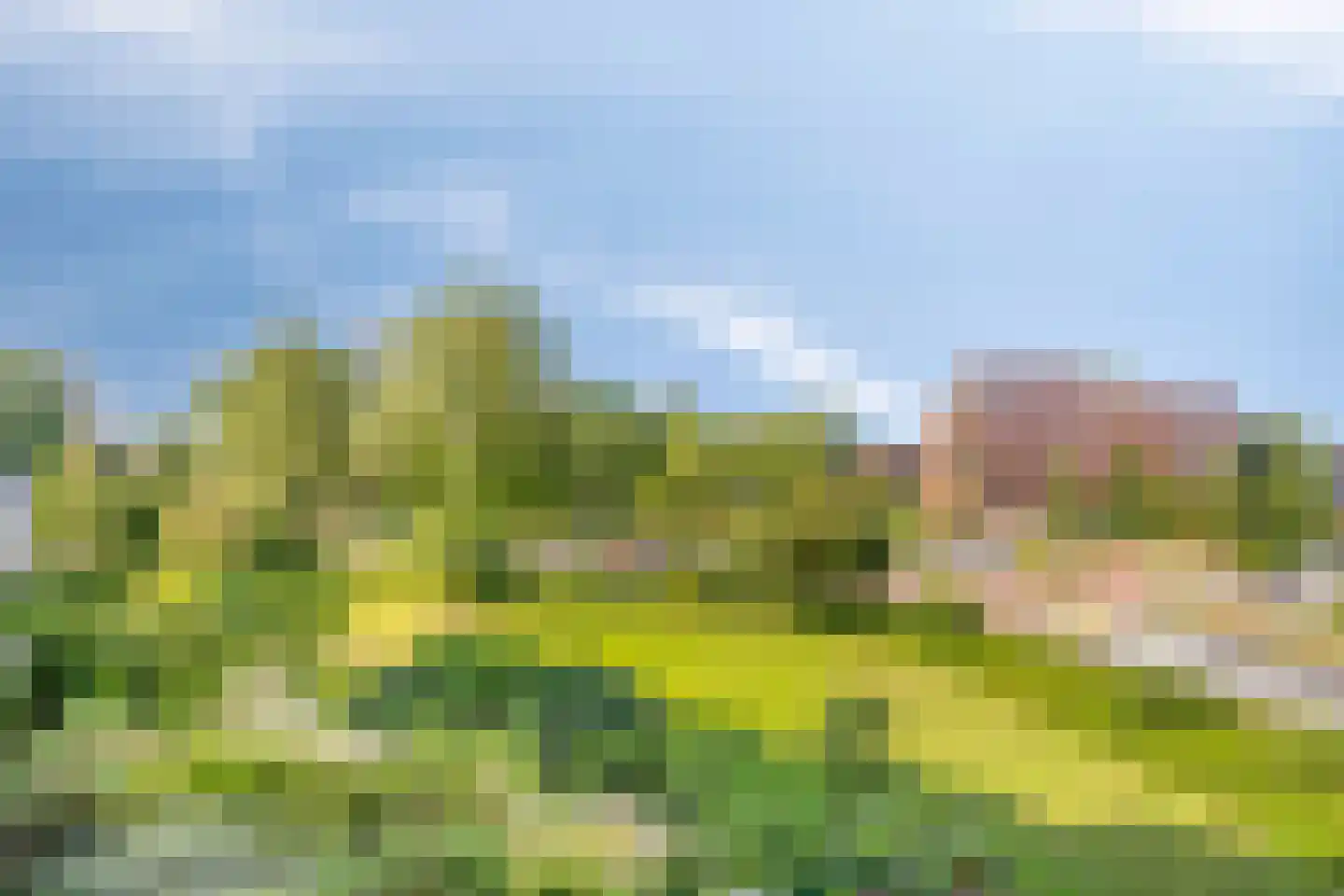 C.F. Smeetslaan 45 Castricum thumbnail 12