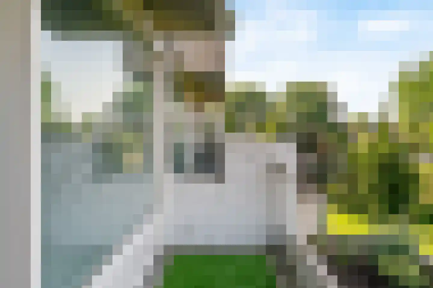 C.F. Smeetslaan 55 Castricum thumbnail 21