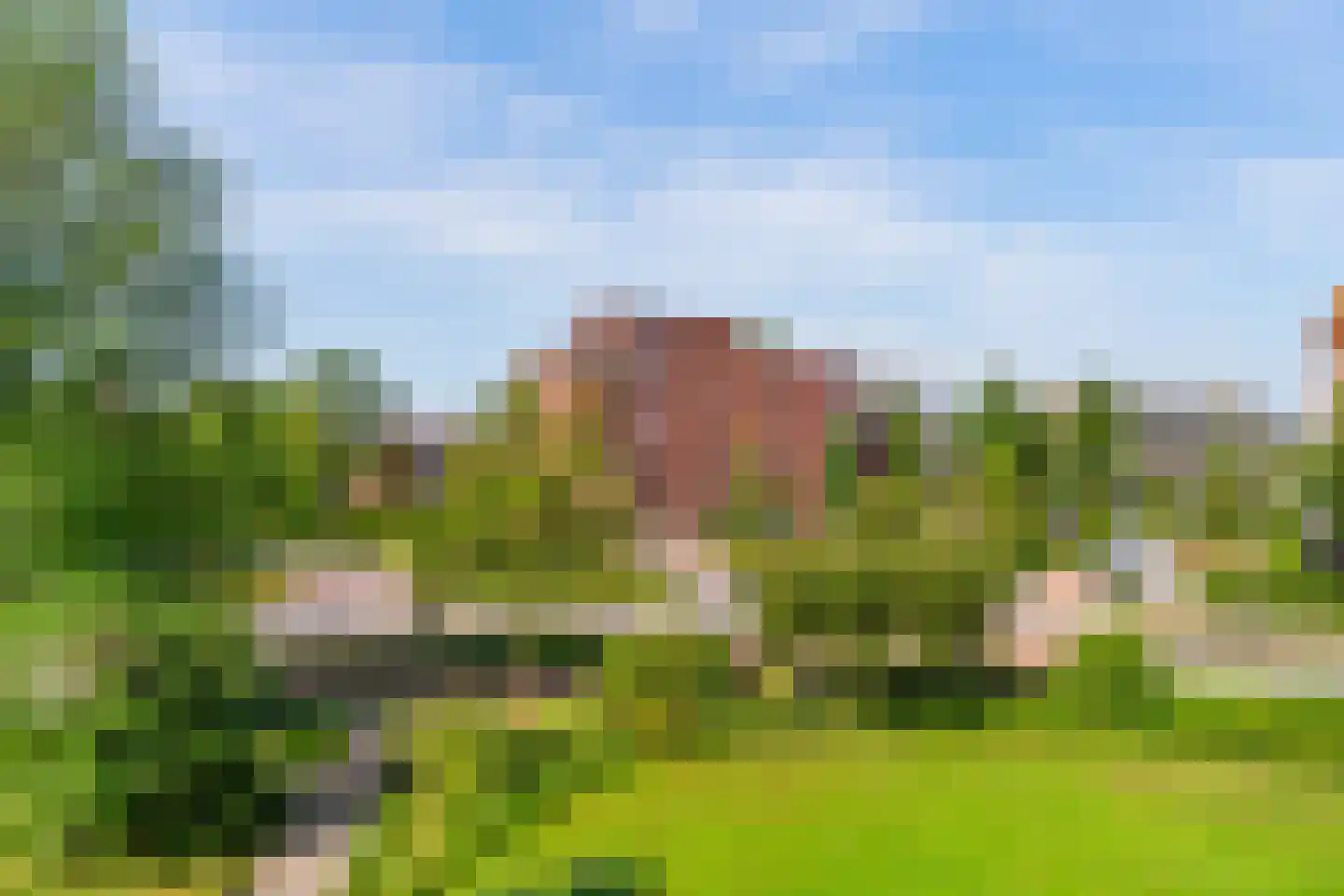 C.F. Smeetslaan 55 Castricum thumbnail 23