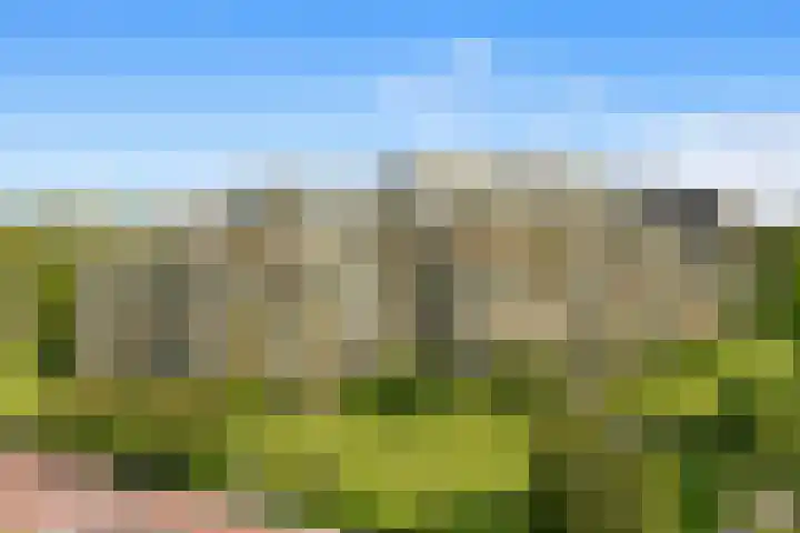 C.F. Smeetslaan 75 Castricum thumbnail 27