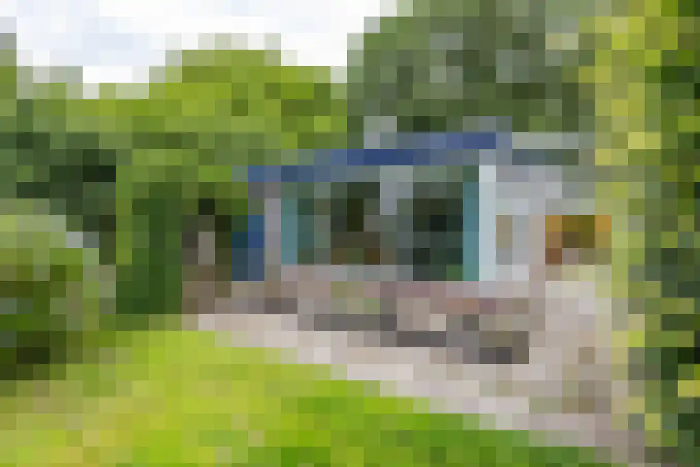 C F van Sytzamastraat 19 Winsum thumbnail 30