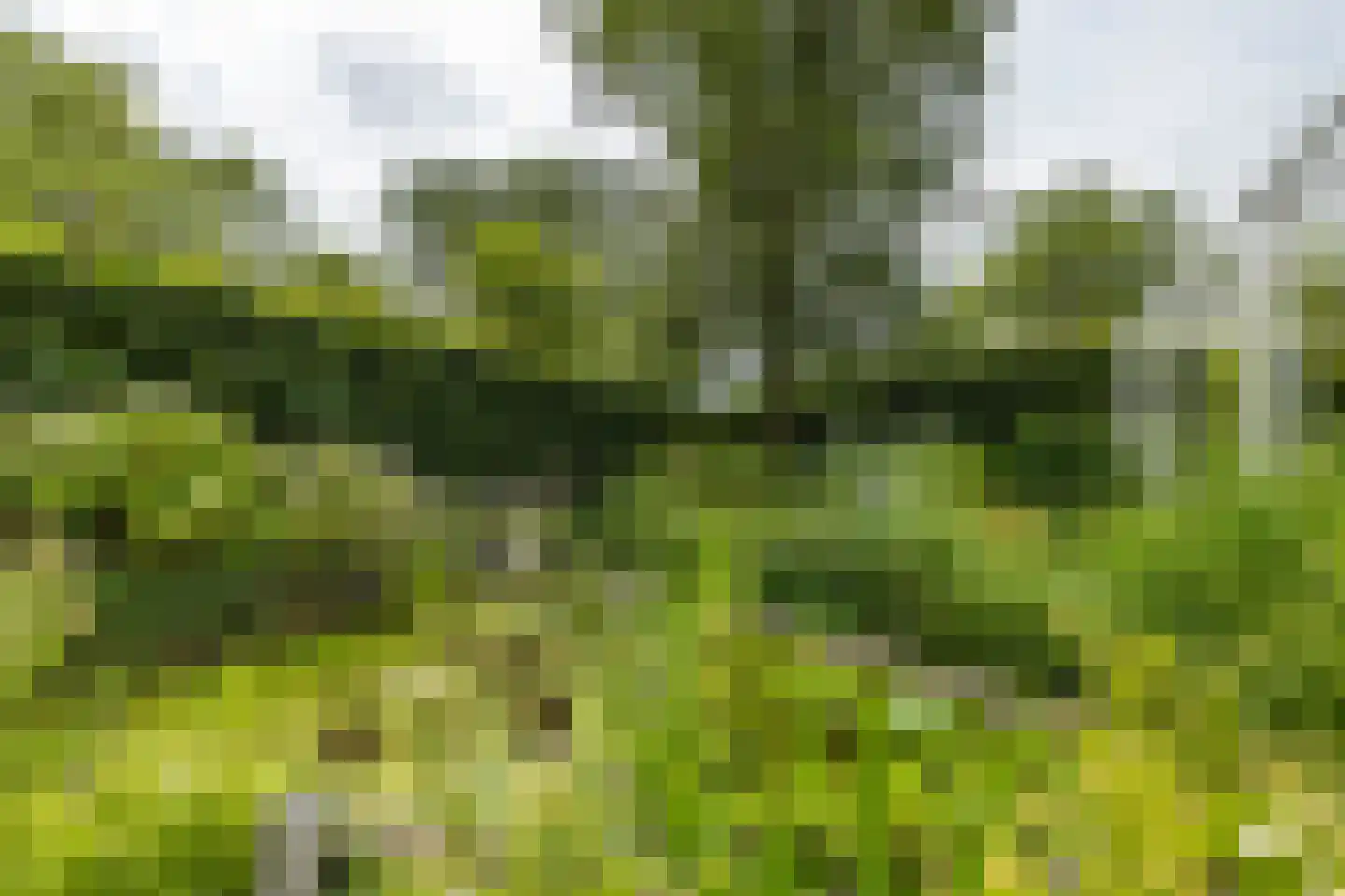 C F van Sytzamastraat 19 Winsum thumbnail 33