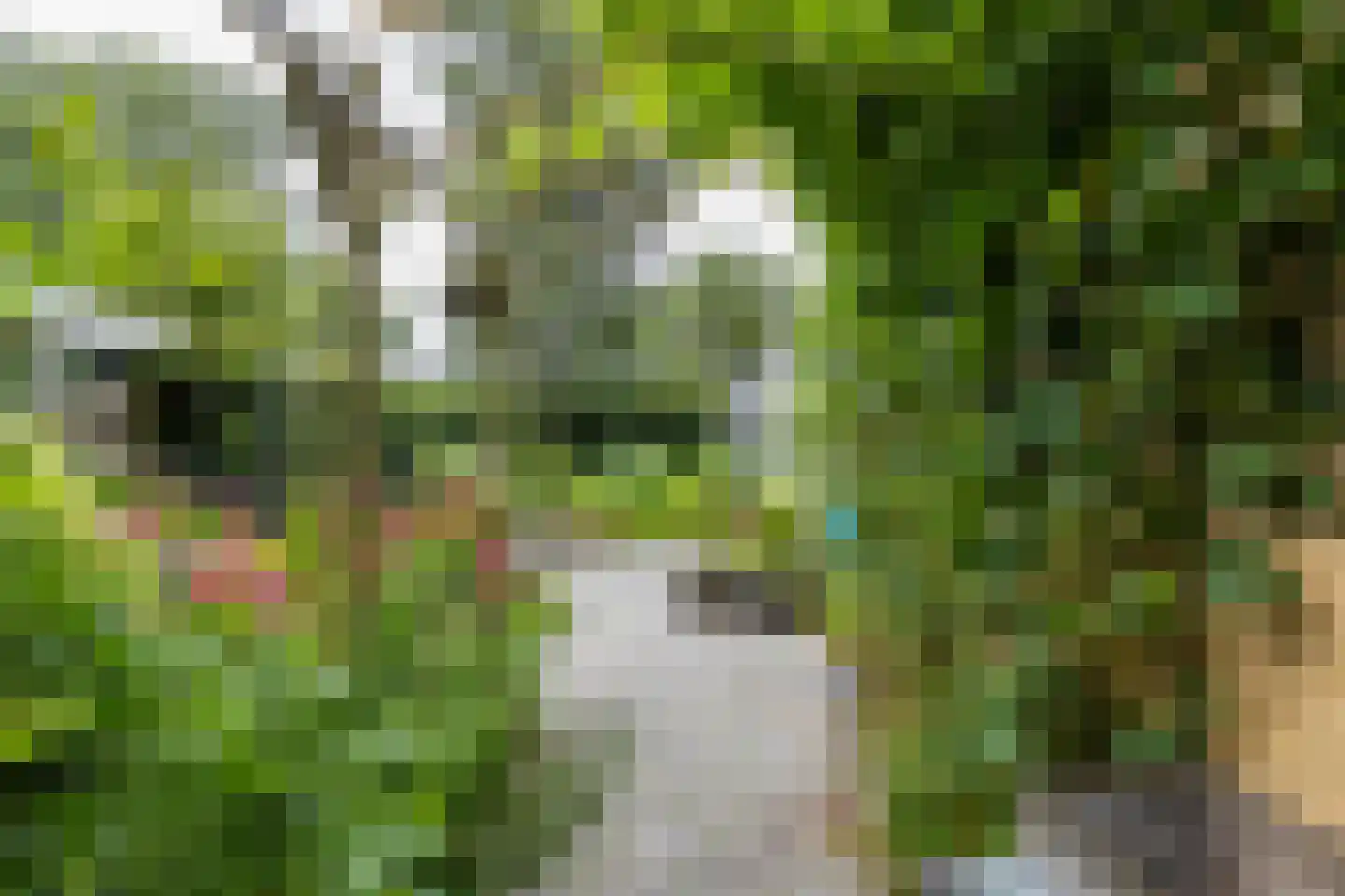 C F van Sytzamastraat 19 Winsum thumbnail 36