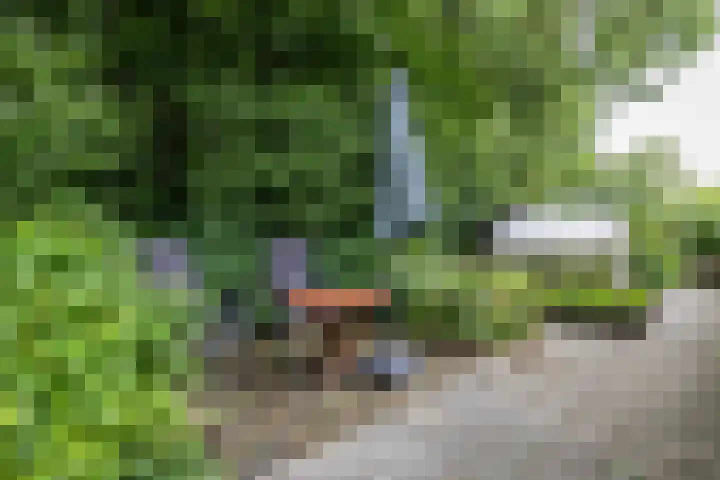 C F van Sytzamastraat 19 Winsum thumbnail 37