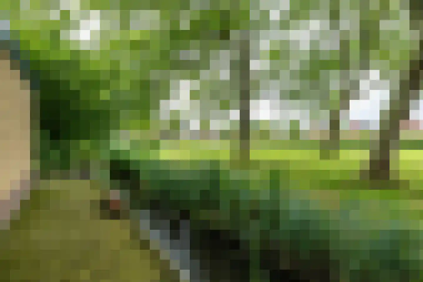 C F van Sytzamastraat 19 Winsum thumbnail 38