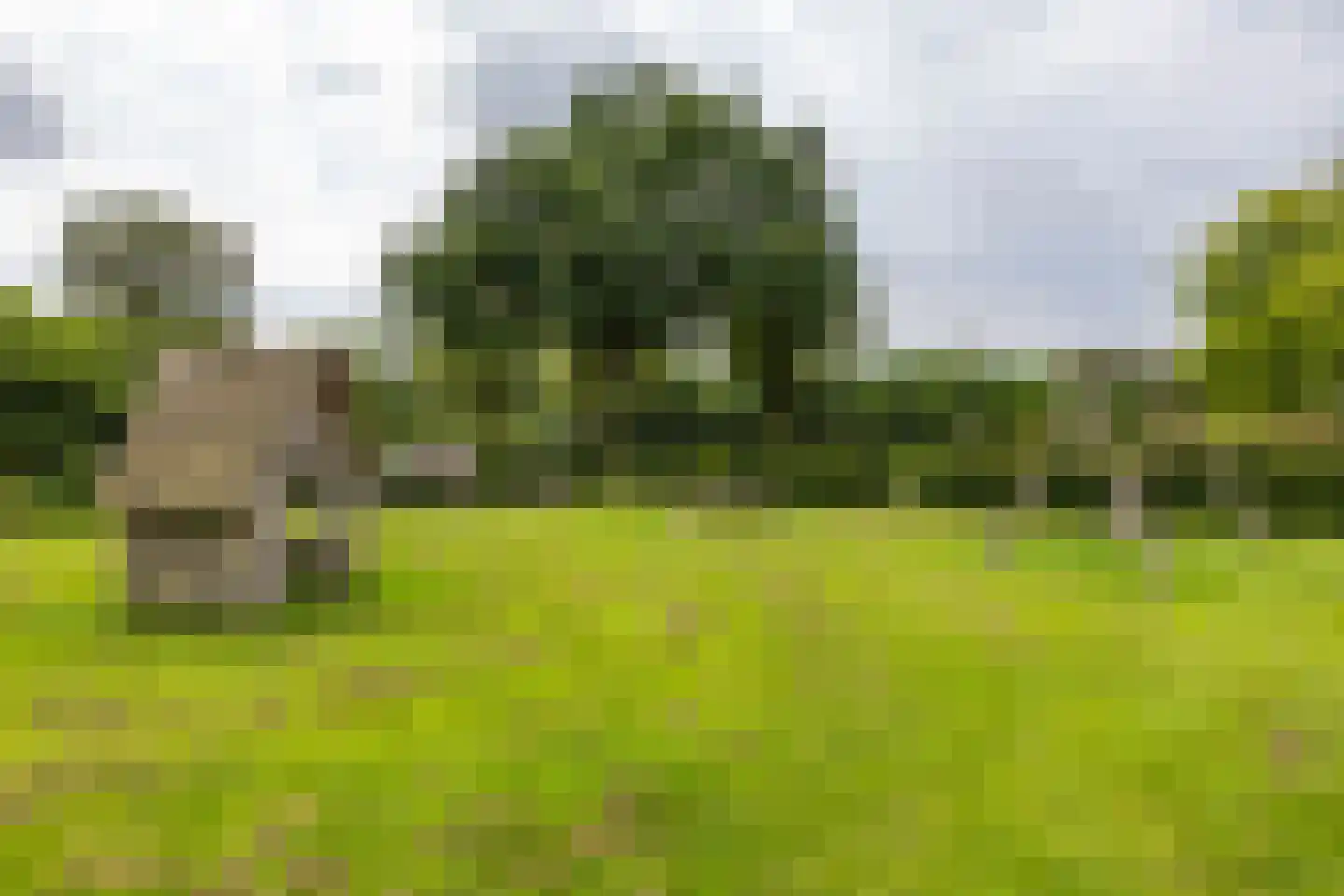 C F van Sytzamastraat 19 Winsum thumbnail 39