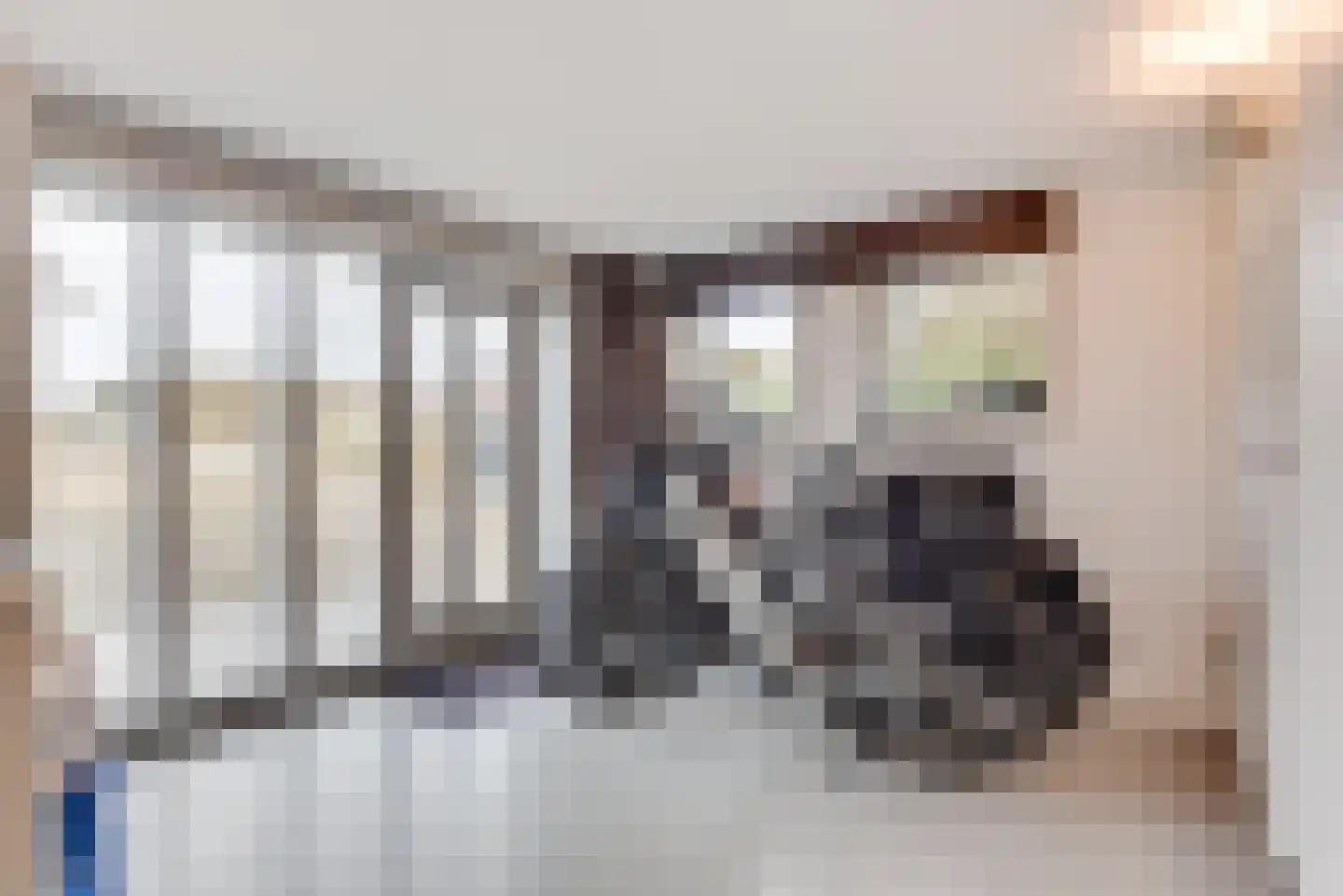 C.F. Zeiler Boulevard 14 Bergen aan Zee thumbnail 31