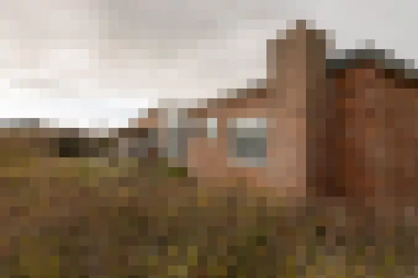 C.F. Zeiler Boulevard 14 Bergen aan Zee thumbnail 33