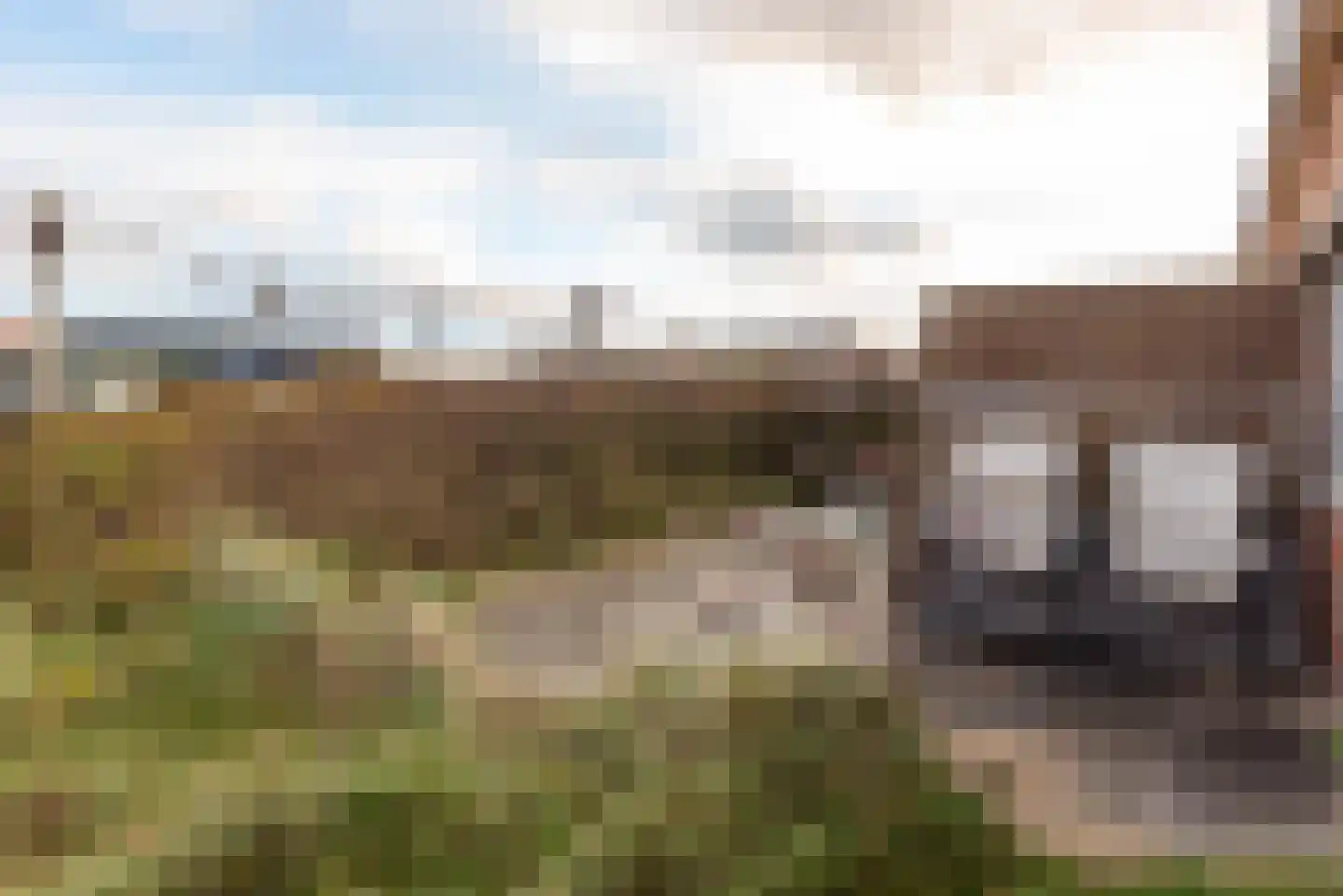 C.F. Zeiler Boulevard 14 Bergen aan Zee thumbnail 36