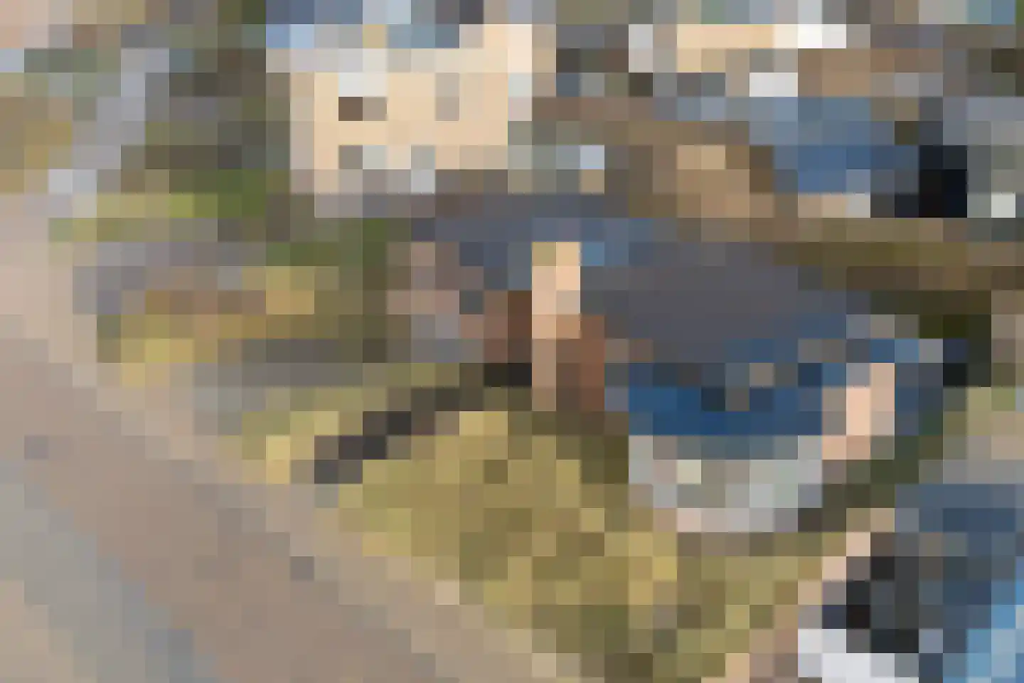 C.F. Zeiler Boulevard 14 Bergen aan Zee thumbnail 7
