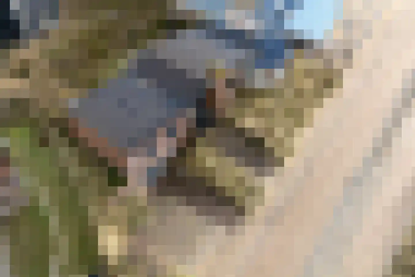 C.F. Zeiler Boulevard 14 Bergen aan Zee thumbnail 8