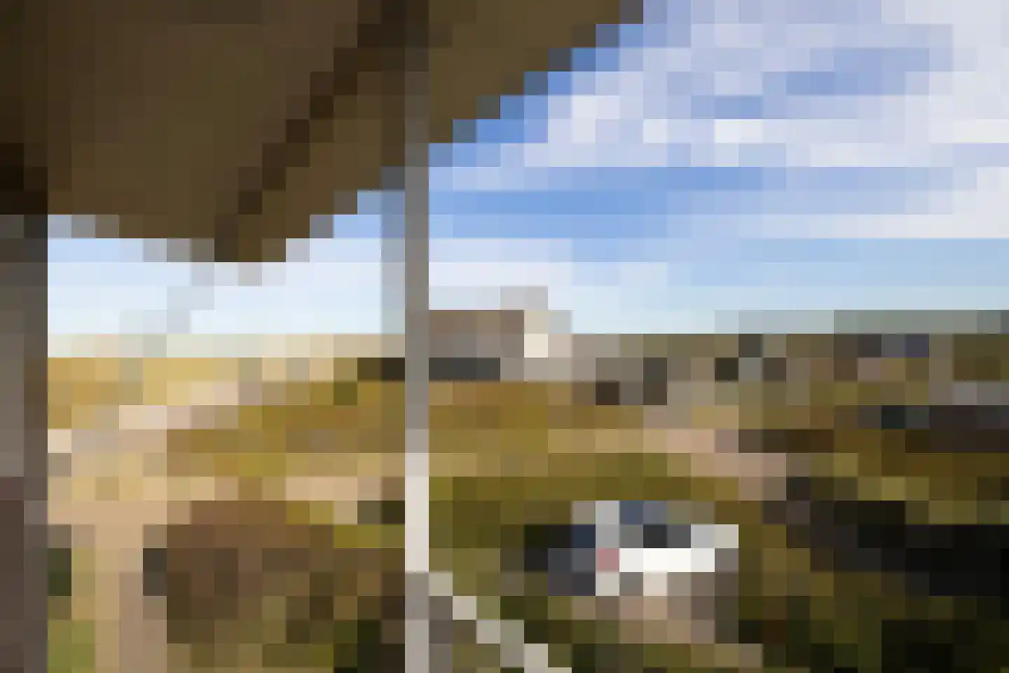 C.F. Zeiler Boulevard 16 Bergen aan Zee thumbnail 33