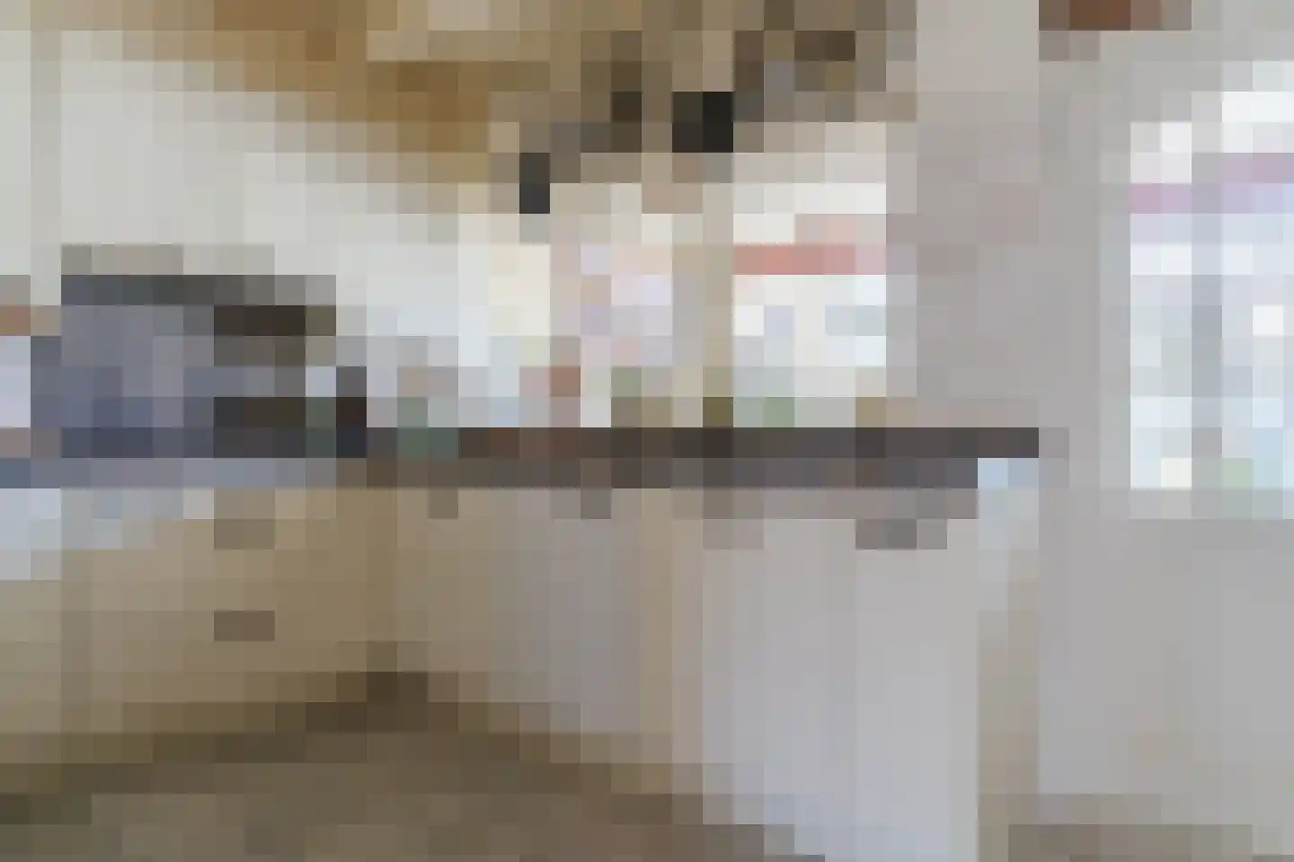 C. Fabritiuspark 14 Heerhugowaard thumbnail 8