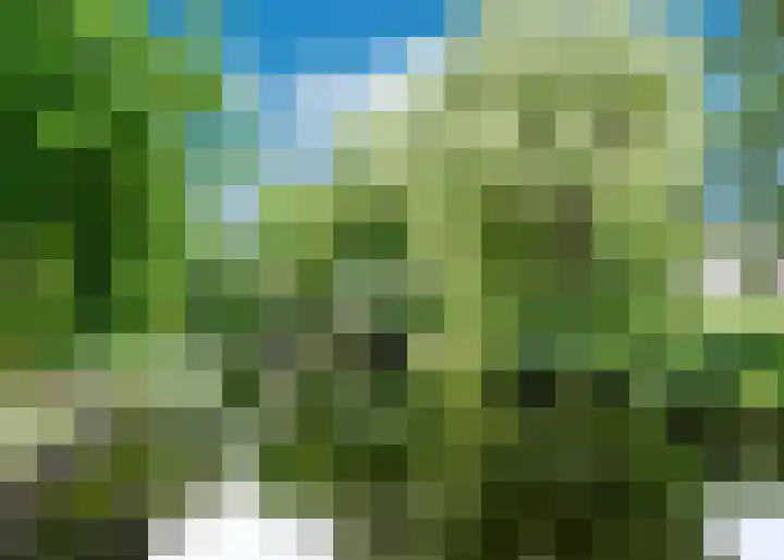 C. Fabritiuspark 8 Heerhugowaard thumbnail 38