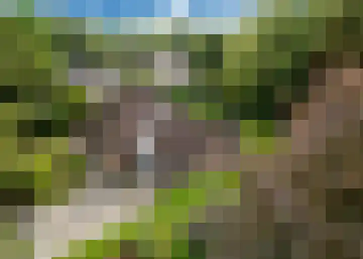 C. Fabritiuspark 8 Heerhugowaard thumbnail 39