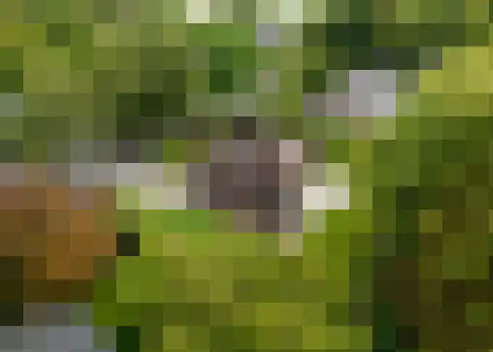 C. Fabritiuspark 8 Heerhugowaard thumbnail 41